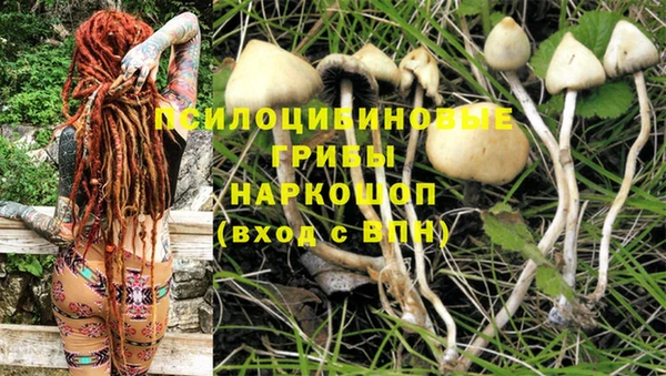 спиды Армянск