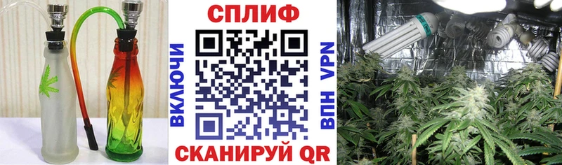 Канабис гибрид  kraken как войти  Бакал 
